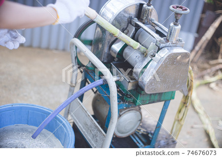 Squeeze sugar cane and boil it down to make brown sugar. Squeeze sugar cane and boil it down to make brown sugar. 74676073