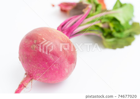 Red turnip 74677020
