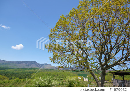 Tsumagoi Ranch in early summer, the bell of my beloved wife, a tourist attraction in Tsumagoi Village, Gunma Prefecture Tsumagoi Ranch in early summer, the bell of my beloved wife, a tourist attraction in Tsumagoi Village, Gunma Prefecture 74679082