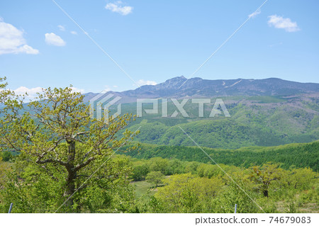 Tsumagoi Ranch in early summer, the bell of my beloved wife, a tourist attraction in Tsumagoi Village, Gunma Prefecture 74679083
