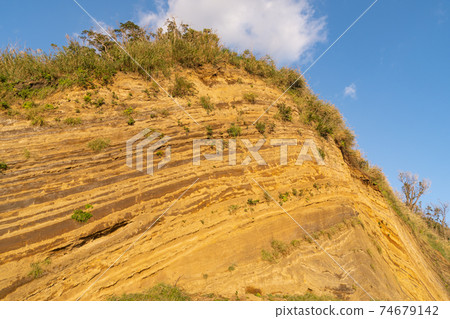 Izu Oshima geological formation important section Baumkuchen Izu Oshima geological formation important section Baumkuchen 74679142