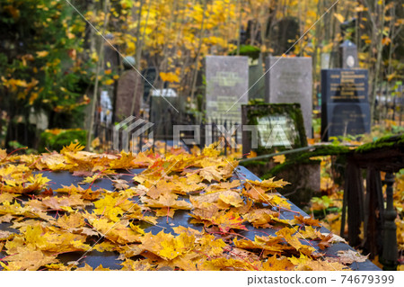 Graveyard background. Yellow autumn leaves on the old gravestone in the autumn cemetery. Graveyard background. Yellow autumn leaves on the old gravestone in the autumn cemetery. 74679399