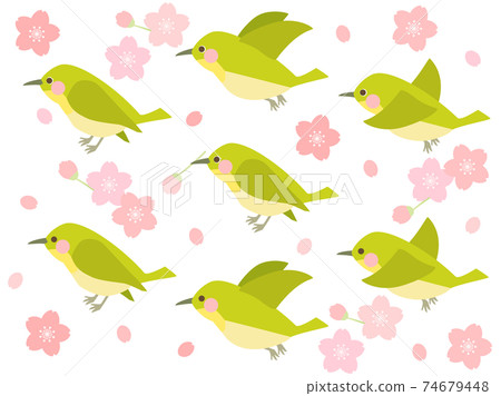 Uguisu Mejiro Tori Set Bird 74679448