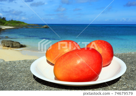 Ripe mango, a specialty of Miyakojima, Okinawa 74679579