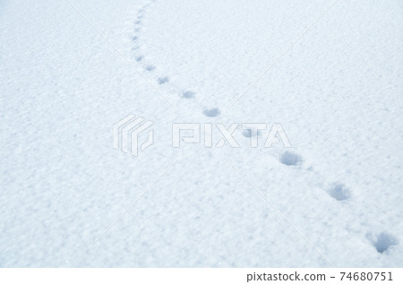 Equally spaced footprints on the white flat surface of fresh snow 74680751