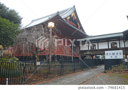 Kiyomizu Kannon-do approach 74681415