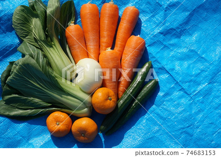 食物和健康成分可增強免疫力 74683153