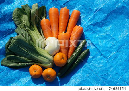 食物和健康成分可增強免疫力 74683154