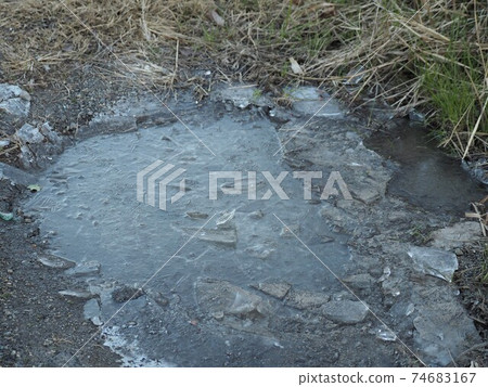 Frozen Puddle 74683167