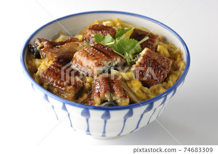 Photographed eel bowl with egg on eel kabayaki on a white background Photographed eel bowl with egg on eel kabayaki on a white background 74683309
