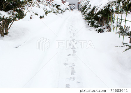 雪道上留下的足跡 74683641
