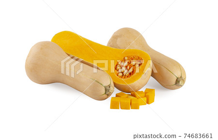 Butternut squash isolated on white background. 74683661