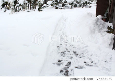 Narrow snow-removed path Narrow snow-removed path 74684979