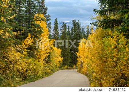 Vermilion Lakes Road in autumn foliage season sunny day. Banff Legacy Trail, Banff National Park, Canadian Rockies, Alberta, Canada. Vermilion Lakes Road in autumn foliage season sunny day. Banff Legacy Trail, Banff National Park, Canadian Rockies, Alberta, Canada. 74685452