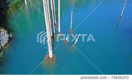 Coniferous trees rise from depths of mountain lake Coniferous trees rise from depths of mountain lake 74686203