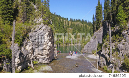 Coniferous trees rise from depths of mountain lake Coniferous trees rise from depths of mountain lake 74686205