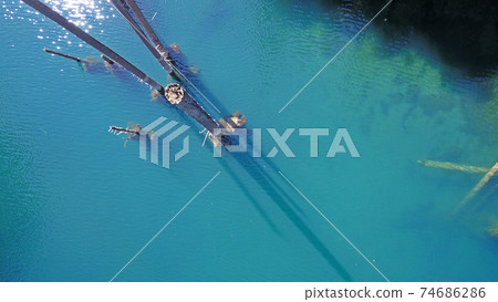 Coniferous trees rise from depths of mountain lake Coniferous trees rise from depths of mountain lake 74686286