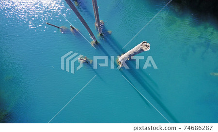 Coniferous trees rise from depths of mountain lake 74686287