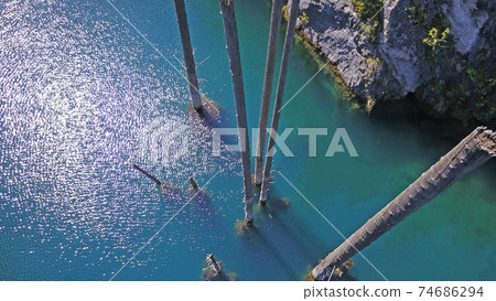 Coniferous trees rise from depths of mountain lake Coniferous trees rise from depths of mountain lake 74686294