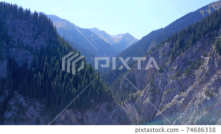 View of the forest and gorge from above. 74686338