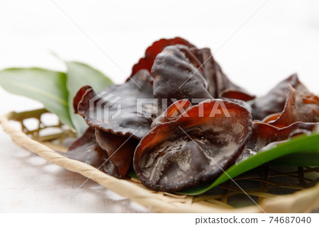 野生植物：生計 74687040