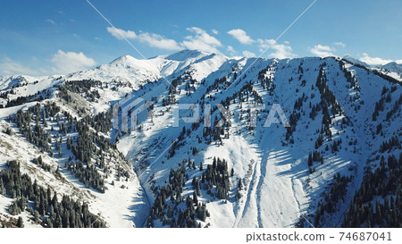 Snow forest in the mountains, above the clouds. Snow forest in the mountains, above the clouds. 74687041