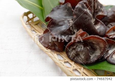 Wild plants: Livelihood Wild plants: Livelihood 74687042