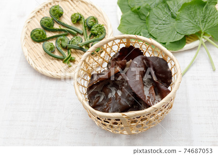 Wild plants: Livelihood 74687053