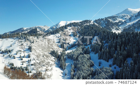 Snow forest in the mountains, above the clouds. Snow forest in the mountains, above the clouds. 74687124