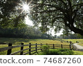 Beautiful scene of Flying Cow Farm 74687260