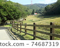 Beautiful scene of Flying Cow Farm 74687319