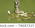Ming chi National Forest Recreation Area in Yilan 74687325