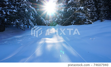 Winter forest in the mountains. 74687940