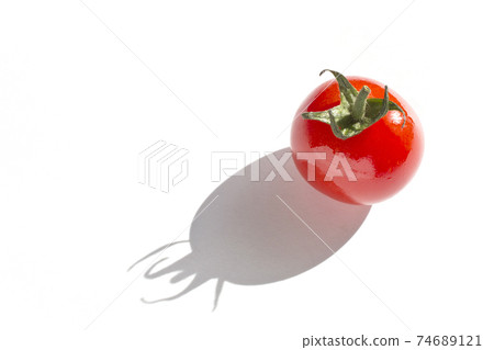 Mini tomato garden tomato healthy life Mini tomato garden tomato healthy life 74689121
