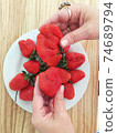close-up outdoors in the summer hold in your hand one beautiful aromatic ripe strawberry, sunlight 74689794