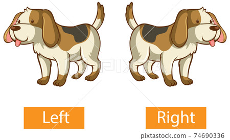 Opposite words with left and right 74690336