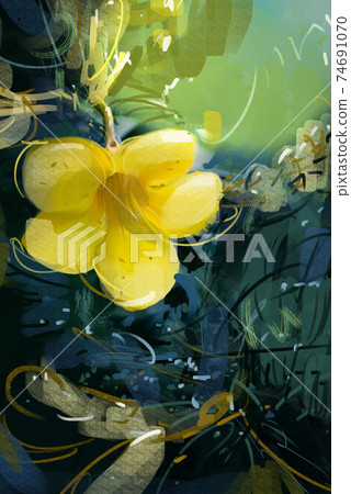 digital painting yellow flowers.yellow flowers. Allamanda cathartica digital painting yellow flowers.yellow flowers. Allamanda cathartica 74691070