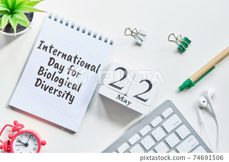 22 twenty second International Day for Biological Diversity May Month Calendar Concept on Wooden Blocks. 74691506