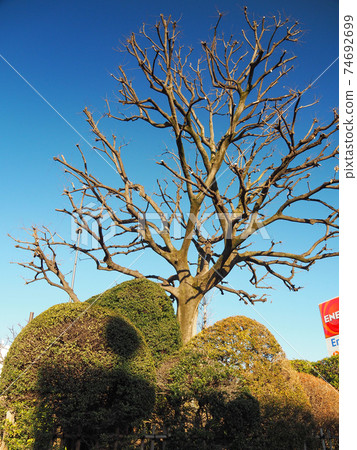 舊中中堂的志村1裡英里 舊中中堂的志村1裡英里 74692699