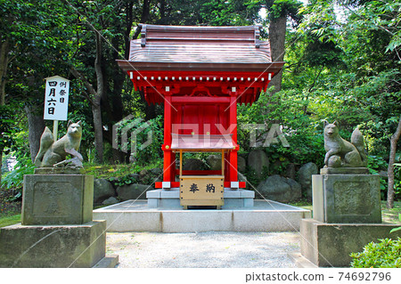 [神奈川縣]初夏的鎌倉，九原丘神社 74692796
