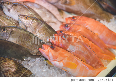 Photograph of the Okinawa market where colorful fresh fish are lined up 74693184