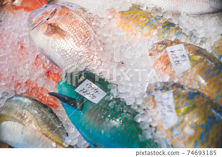 Photograph of the Okinawa market where colorful fresh fish are lined up 74693185
