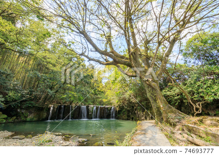Waterfall of Kuginohana, Yamaga City, Kumamoto Prefecture Waterfall of Kuginohana, Yamaga City, Kumamoto Prefecture 74693777