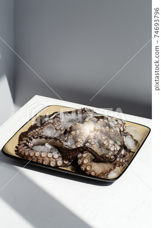 Seafood, whole raw big octopus on a plate in ice ready for preparing Seafood, whole raw big octopus on a plate in ice ready for preparing 74693796