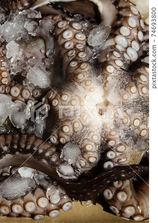 Seafood, close-up parts of raw big octopus on a plate in ice ready for preparing 74693800
