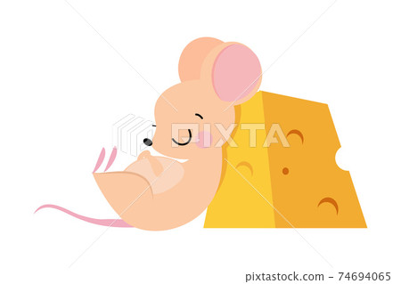 Cute Mouse with Pointed Snout and Rounded Ears Sleeping Leaning Against Huge Slab of Cheese Vector Illustration Cute Mouse with Pointed Snout and Rounded Ears Sleeping Leaning Against Huge Slab of Cheese Vector Illustration 74694065