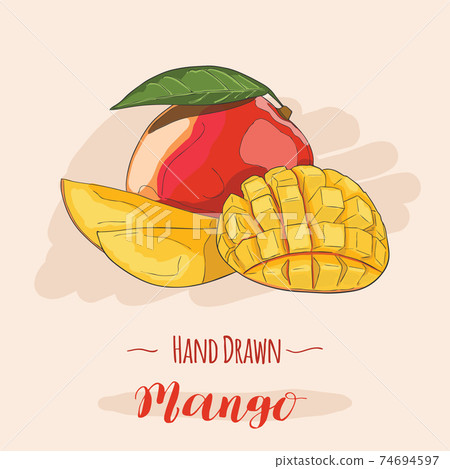 Hand drawn colorful exotic tropical fresh fruit Mango Hand drawn colorful exotic tropical fresh fruit Mango 74694597