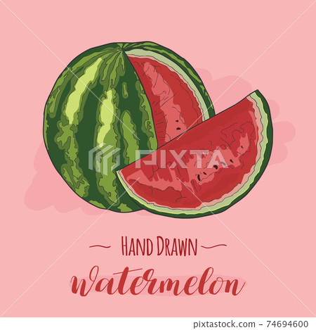 Hand drawn colorful exotic tropical fresh fruit Watermelon Hand drawn colorful exotic tropical fresh fruit Watermelon 74694600