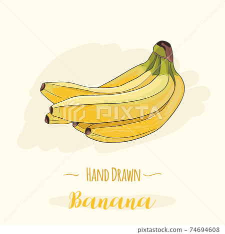 Hand drawn colorful exotic tropical fresh fruit Banana Hand drawn colorful exotic tropical fresh fruit Banana 74694608