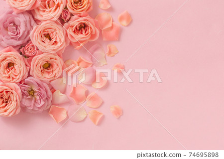 Pastel pink roses and petals 74695898